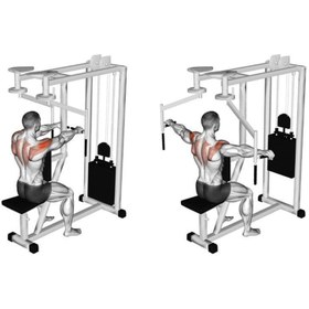 تصویر فلای سینه دو کاره LS188 ls188 dual chest fly