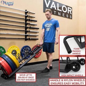 تصویر رک صفحه کراسفیت Crossfit plate rack NS6016 