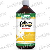 تصویر رنگدانه زرد قناری Yellow Factor پینتا ایتالیا 