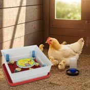 تصویر مادر مصنوعی آپارتمانی 