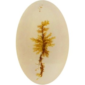 تصویر سنگ شجر پارلا گوهر کد 5013 