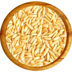 تصویر دانه جو دوسر <br>(پوست کنده) 