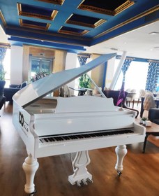 تصویر پیانو کلاوینت گرند دیجیتال Digital grand clavinet piano