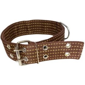 تصویر قلاده سگ 