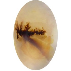 تصویر سنگ شجر پارلا گوهر کد 5108 