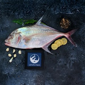 تصویر ماهی صافی مقوا (جش سفید) 