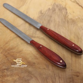 تصویر مسقل استاد منفرد 