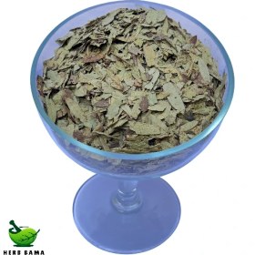 تصویر برگ سنا 