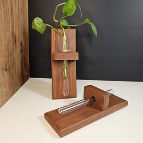 تصویر گلدان دیوارکوب دلسی وود 