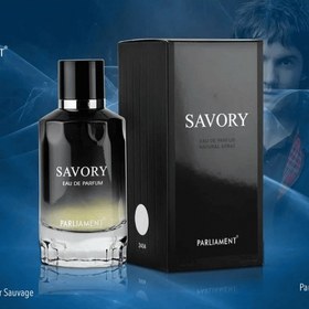 تصویر ادکلن مردانه ساووری پارلمنت با رایحه دیور ساواج 100 میل PARLIAMENT SAVORY EAU DE PARFUM 