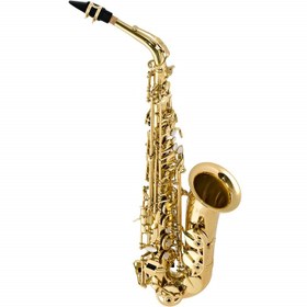 تصویر ساکسیفون آلتو سلمر Selmer Alto Saxophone