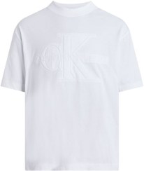 تصویر تیشرت مردانه کلوین کلاین Calvin Klein اورجینال J30J325210.YAF 