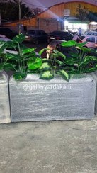 تصویر اجرای باکس های 1 متری با درختچه های 18 برگ 