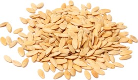 تصویر بذر خیار 20 عددی