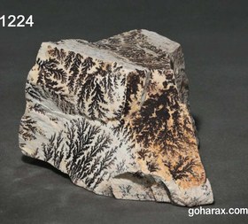 تصویر سنگ فسیل شجر دندریت 