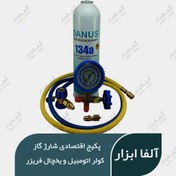 تصویر قیمت و خرید گاز کولر اتومبیل و یخچال فریزر (پکیج اقتصادی) - Aspella Economical package for charging gas for car air conditioners and refrigerators