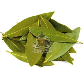 تصویر برگ بو - 25 گرم Bay laurel