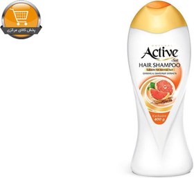 تصویر شامپو نچرال برای موهای معمولی 400 گرمی اکتیو Active Natural Shampoo For Normal Hair 400g