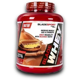 تصویر وی پروتئین BLADESPORT WHEY PROTEIN BLADE SPORT