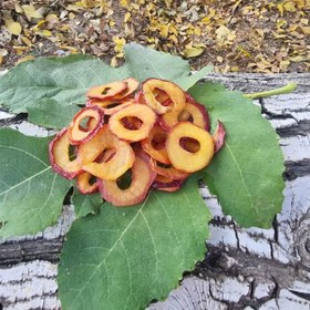 تصویر آلو خشک 