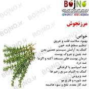 تصویر مرزنجوش 100 گرمی 