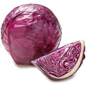 تصویر بذر کلم پیچ قرمز رابی کویین تاکی ژاپن Brassica oleracea Seed