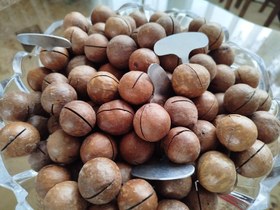 تصویر ماکادمیا - 100گرم 