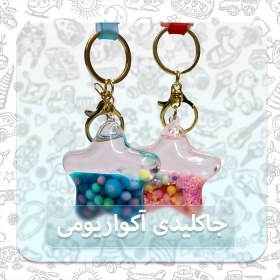 تصویر جاکلیدی آکواریومی مدل ستاره | Star Keychain 