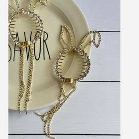 تصویر گیره گوجه ای خرگوشی 