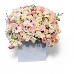 تصویر باکس ارکیده و میخک 