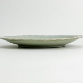 تصویر بشقاب مینو 