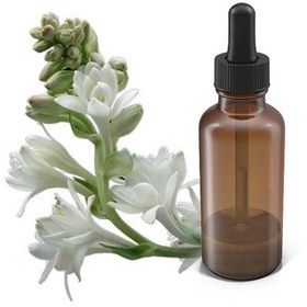 تصویر گل مریم 