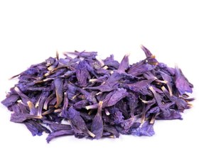 تصویر گل گاوزبان 