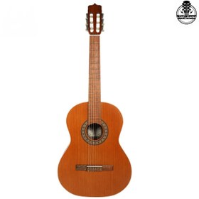 تصویر گیتار پارسی مدل D6 