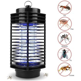 تصویر حشره کش برقی طرح فانوسی ارجینال آمازون مدل LF-200 International Eco Friendly Electronic LED Mosquito Killer Machine Trap Lamp, Theory Screen Protector Mosquito Killer lamp for House,USB Power Electronic (LF-200-black)