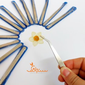 تصویر پنس استیل گل خشک 