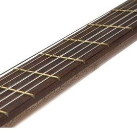 تصویر گیتار فرد مدل پارسی 