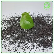 تصویر تخم شربتی درشت 5ستاره فدک (1000گرم) 