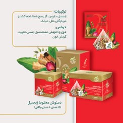 تصویر (فروش اقساط) دمنوش مخلوط زنجبیل (دمنوش انرژی) مهرگیاه 14 عددی ECHIUM MIX