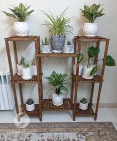 تصویر استند گل ستیا کد 271 