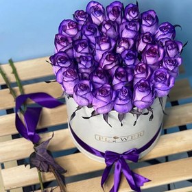 تصویر باکس گل رز بنفش 