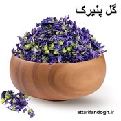 تصویر پنیرک (گل خبازی، گل ختمی) 