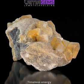 تصویر رمبوئدر نباتی 