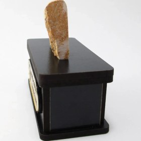 تصویر سنگ شجر فسیلی (دندریتی ) کد 2201 