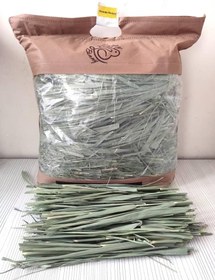 تصویر علوفه آروندودوناکس 