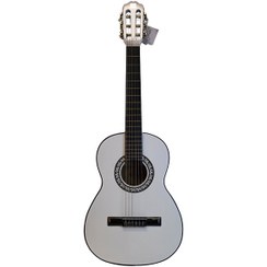 تصویر گیتار دیاموند Diamond Kataway guitar