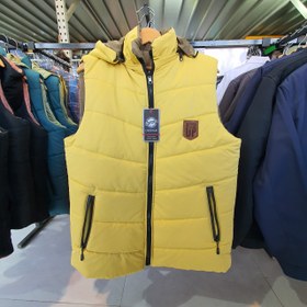 تصویر پافر زرد 6002003 