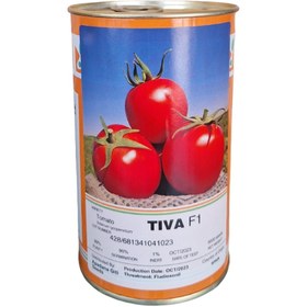 تصویر بذر گوجه فرنگی پربار تیوا مشابه گوجه بریویو 5 هزار عددی پلت شده Tomato Tiva F1 Diamond Seed Num 5000 Seeds