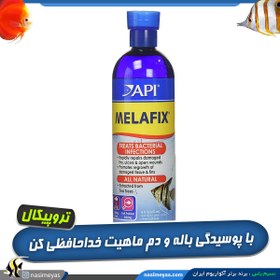 تصویر دارو ملافیکس ضد بیماری باکتریایی آبزیان آب شیرین ای پی آی API API MELAFIX for freshwater