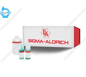 تصویر آلبومین سرم گاوی 